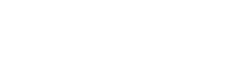 logo tinstone wit 750×250